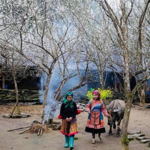 Ha Giang to Bac Ha Market private car- Ha Giang Private Car Travel