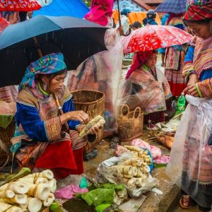 Ha Giang to Bac Ha Market private car- Ha Giang Private Car Travel