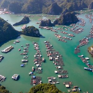 Ha Giang To Cat Ba Island By Limousine - Ha Giang Private Car