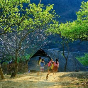 Ha Giang to Moc Chau by private car- Ha Giang Private Car Travel