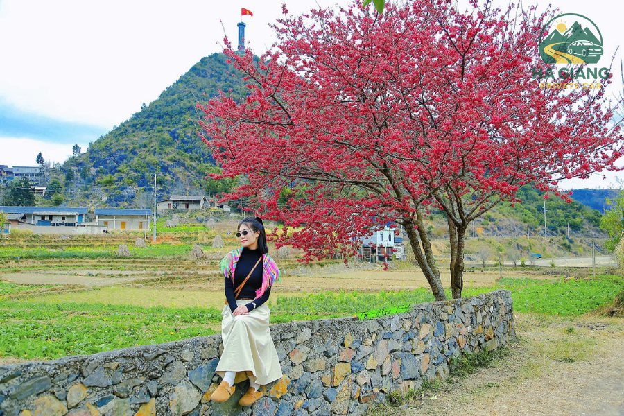 Ha Giang Weather & Seasons Guide – Ideal Time To Travel Ha Giang