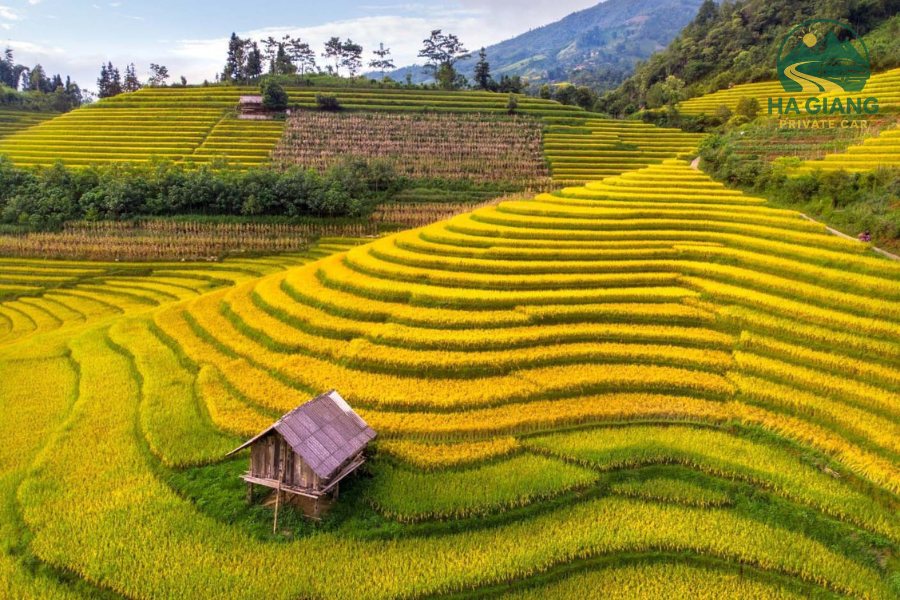 Ha Giang Weather & Seasons Guide – Ideal Time To Travel Ha Giang