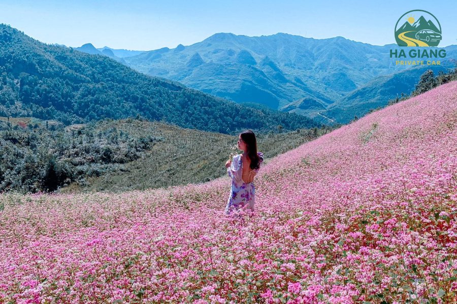 Ha Giang Weather & Seasons Guide – Ideal Time To Travel Ha Giang