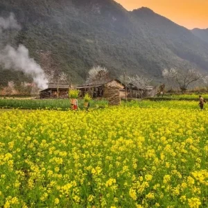 Ha Giang to Mu Cang Chai luxury car - Ha Giang Private Car