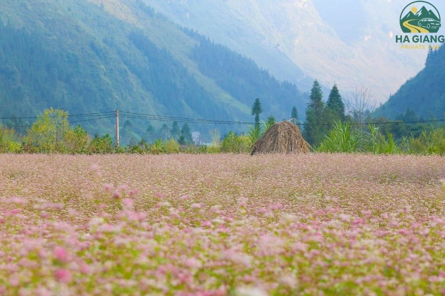 Dong Van Karst Plateau UNESCO Global Geopark - Ha Giang Private Car