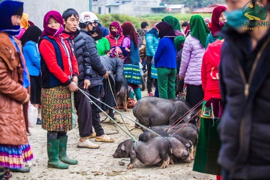 Dong Van Karst Plateau Geopark - Ha Giang Private Car