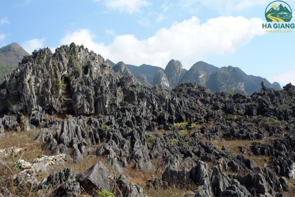 Dong Van Karst Plateau - Ha Giang Private Car