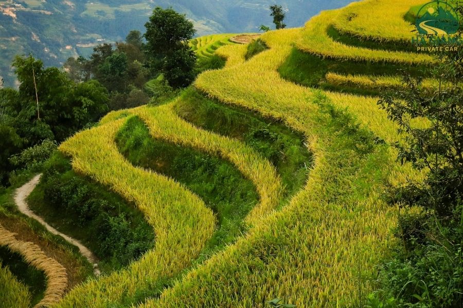 Dong Van Karst Plateau Global Geopark - Ha Giang Private Car