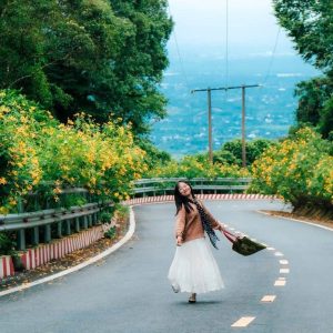 Ha Giang To Ba Vi National Park By Luxury Car - Ha Giang Private Car