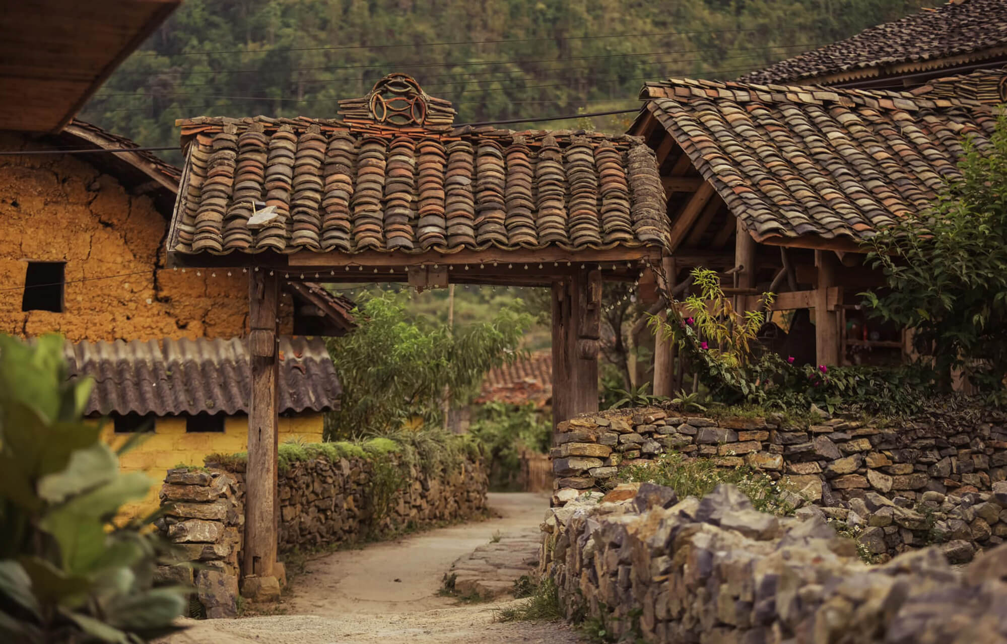 Lo Lo Chai Village- Ha Giang Private Car Travel