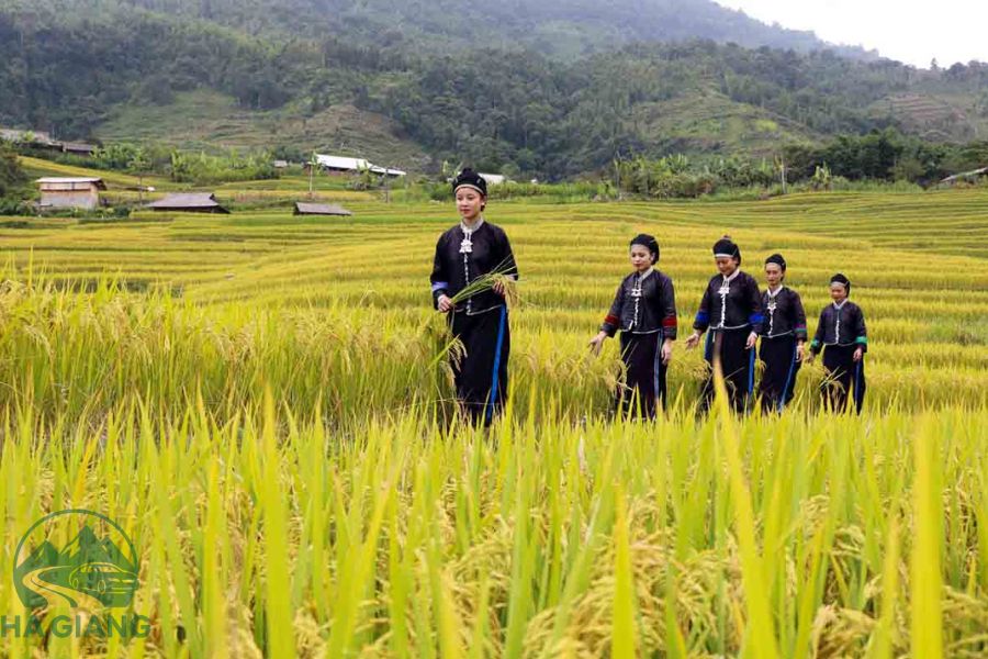 Ethnic Minorities in Ha Giang - Ha Giang Private Car