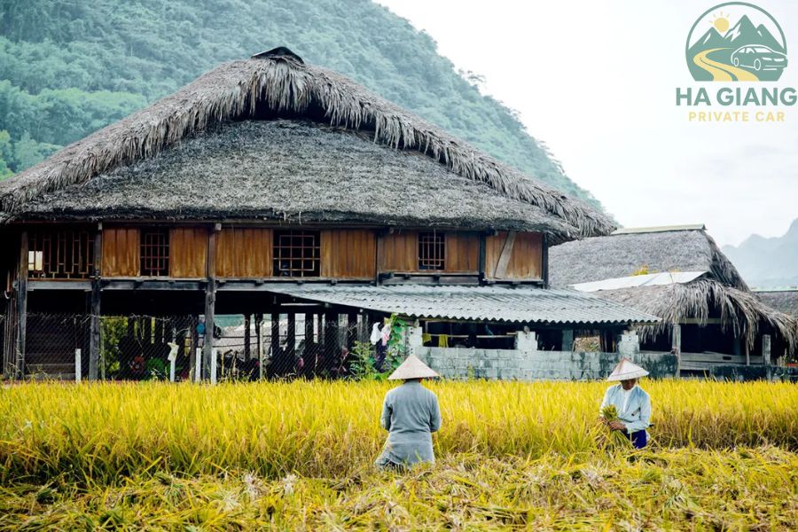 Tay Stilt House