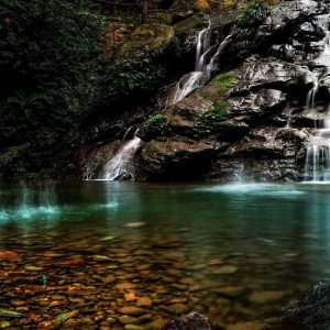 Ha Giang to Ba Vi National Park - Ha Giang Private Car