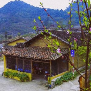 Luxury car Ha Giang to Lo Lo Chai Village - Ha Giang Private Car