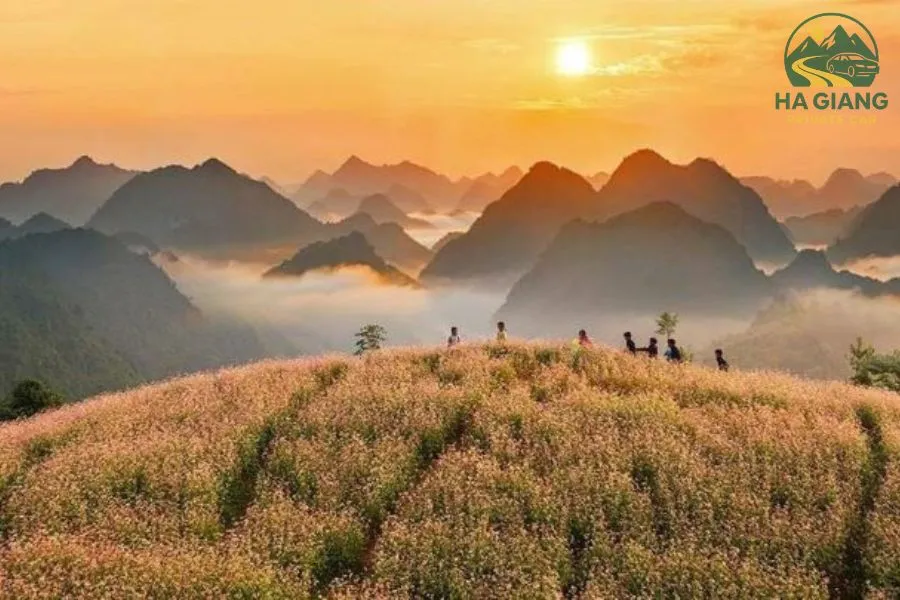 Best Viewpoints In Ha Giang- Ha Giang Private Car