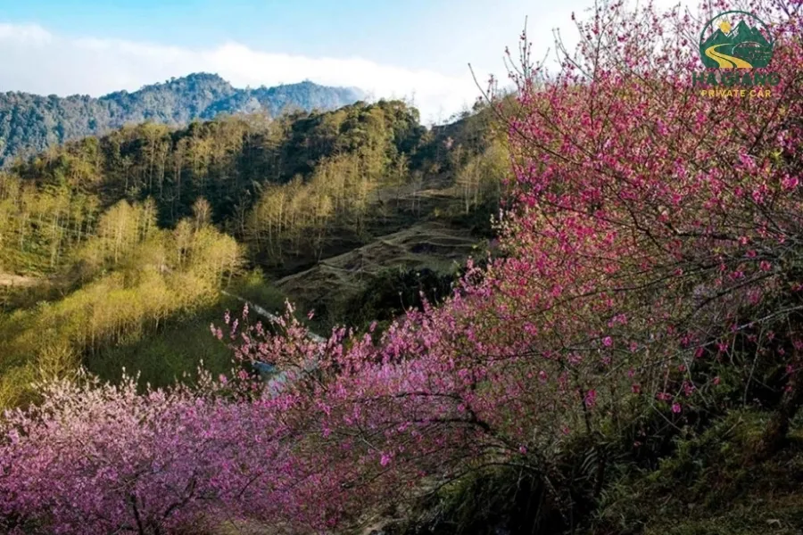Hanoi To Ha Giang: How To Get There - Ha Giang Private Car